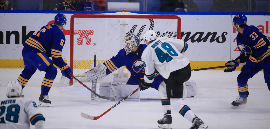 Sabres Sharks